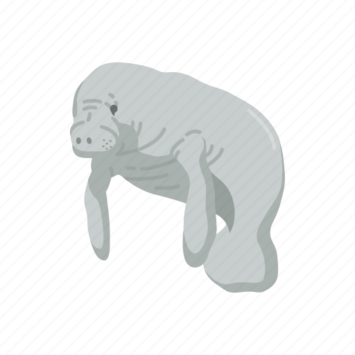 Animal, dugong, mammal, marine mammal, sea cow, sirenia icon - Download on Iconfinder