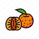 cut, tangerine, leaf, mandarin, clementine, orange
