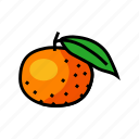 mandarin, orange, clementine, fruit, tangerine, citrus