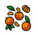 slice, tangerine, clementine, peeled, mandarin, orange
