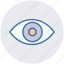 eye, eyeball, human eye, overview, search, view, vision 