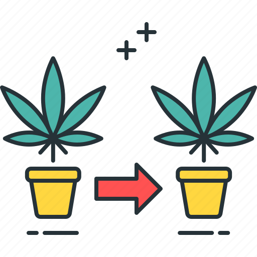 Marijuana, marijuana cloning, pot, weed icon - Download on Iconfinder