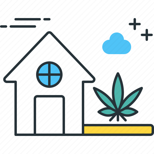 Cannabis, cannabis plant, field of cannabis, growing weed, marijuana, natural marijuana, organic marijuana icon - Download on Iconfinder