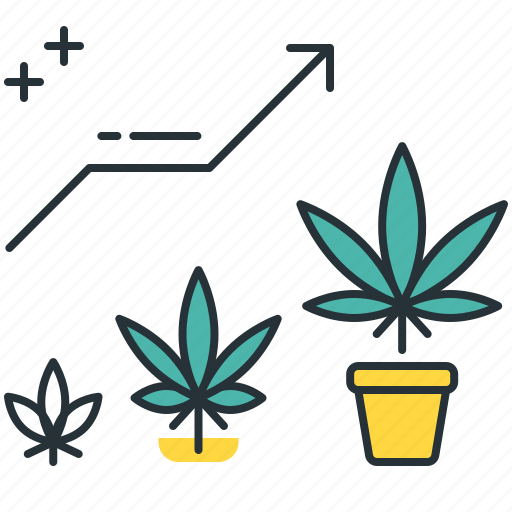 Vegetative, cannabis plant, growing weed, marijuna plant, veg phase, vegging cannabis, leaf icon - Download on Iconfinder