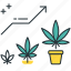 vegetative, cannabis plant, growing weed, marijuna plant, veg phase, vegging cannabis, leaf 