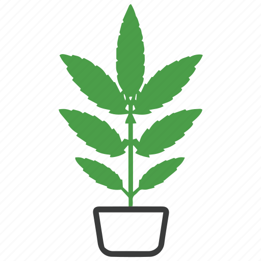 Marijuana, cannabis, weed, herb, plant, leaf, dope icon - Download on Iconfinder