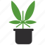 marijuana, cannabis, weed, herb, plant, leaf, dope, cbd, pot 