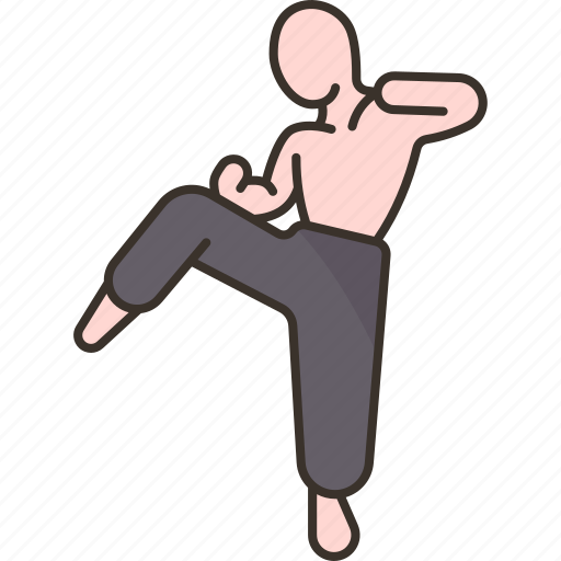 Fighter, kick, martial, arts, sports icon - Download on Iconfinder