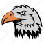 eagle mascot, eagle face, eagle, animal face, eagle head 