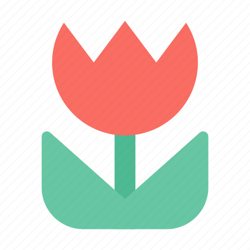 Camera, flower, macro icon - Download on Iconfinder