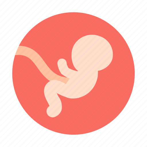 Baby, embryo, medical icon - Download on Iconfinder