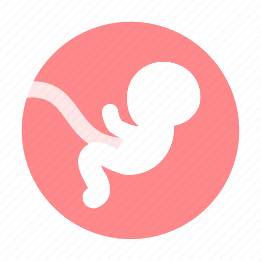Baby, embryo, mother icon - Download on Iconfinder