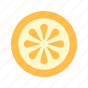citrus, lemon, slice
