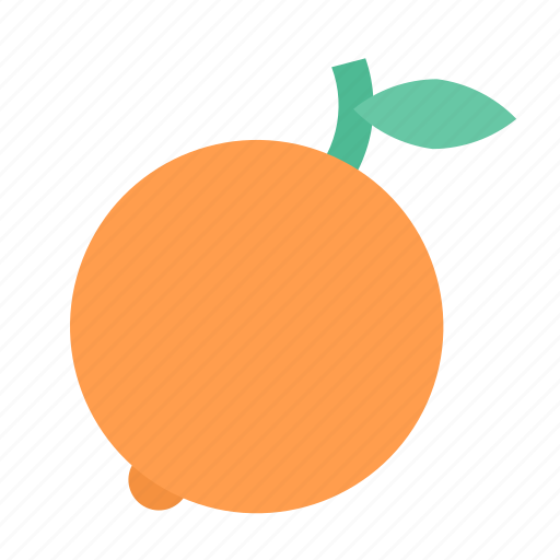 Fruit, orange icon - Download on Iconfinder on Iconfinder
