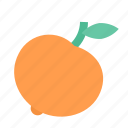 fruit, mandarine