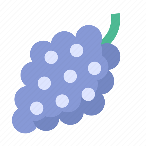Fruit, grapes icon - Download on Iconfinder on Iconfinder