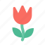 flower, present, tulip 