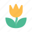flower, macro, tulip 