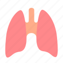 anatomy, lungs, medical