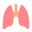 anatomy, lungs, medical 