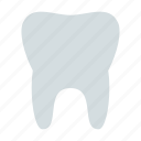 teeth, tooth