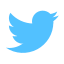 social, twitter, bird 