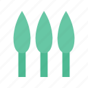 asparagus, sparrowgrass