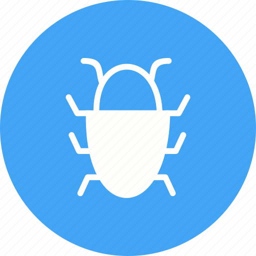 Bug, data, magnifying, report, software, virus, web icon - Download on Iconfinder