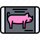 pork, pig, box, meat, butcher, food