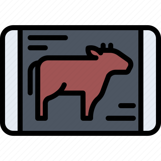 Beef, cow, box, meat, butcher, food icon - Download on Iconfinder