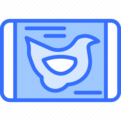 Chicken, box, meat, butcher, food icon - Download on Iconfinder