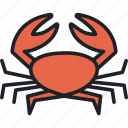 crab, sea, seafood, crustacean, animal, food, marine
