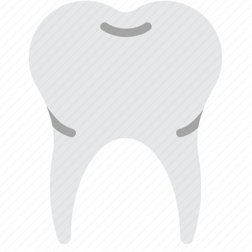 Clean, dentist, hygiene, medical, teeth, tooth icon - Download on Iconfinder