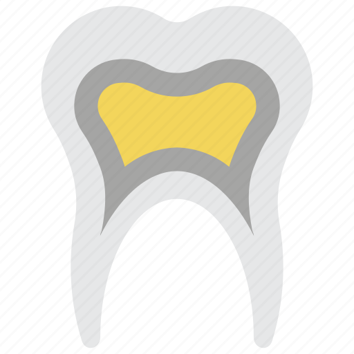 Clean, decay, dentist, hygiene, medical, teeth, tooth icon - Download on Iconfinder