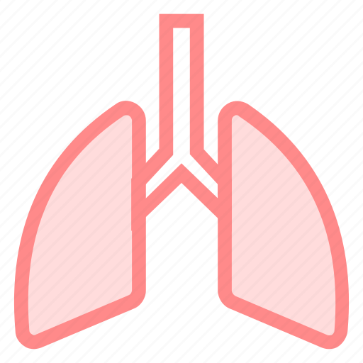 Body, lung, organ, respiratory icon - Download on Iconfinder