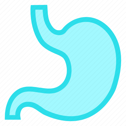 Healthcare, medical, organ, stomach icon - Download on Iconfinder