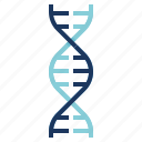 dna, genetics, genome, molecule, science