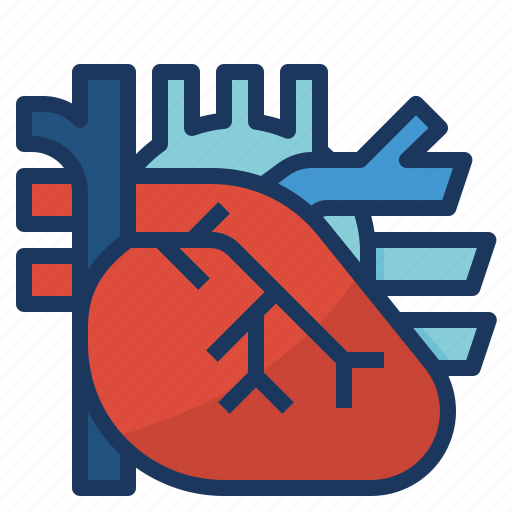 Cardio, cardiology, cardiovascular, circulation, heart icon - Download on Iconfinder