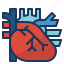 cardio, cardiology, cardiovascular, circulation, heart 