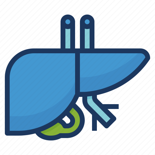 Detoxification, health, healthcare, hepatology, liver, medical icon - Download on Iconfinder