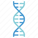 dna, genetics, genome, molecule, science 