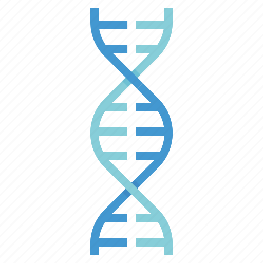 Dna, genetics, genome, molecule, science icon - Download on Iconfinder