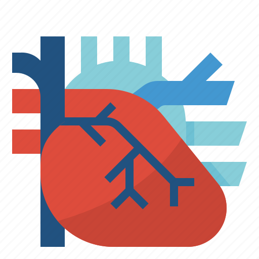 Cardio, cardiology, cardiovascular, circulation, heart icon - Download on Iconfinder