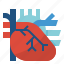 cardio, cardiology, cardiovascular, circulation, heart 