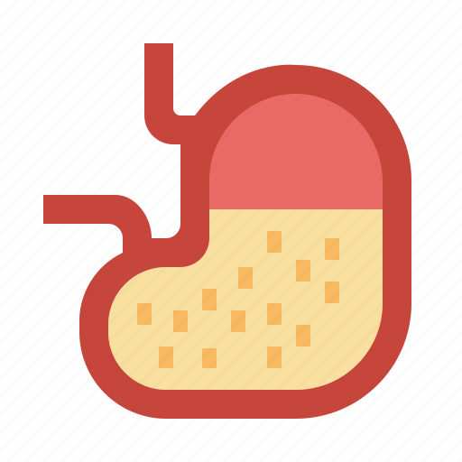 Anatomy, body, medical, organ, parts, stomach icon - Download on Iconfinder