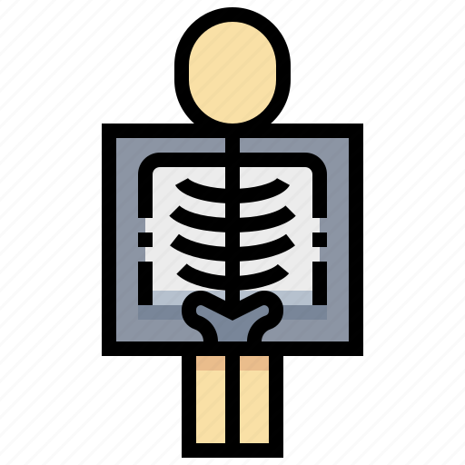 Bone, checkup, health, medical, ray, x icon - Download on Iconfinder
