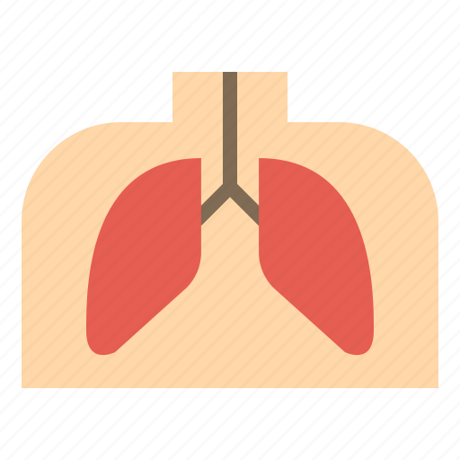 Disease, human, lung, medical icon - Download on Iconfinder