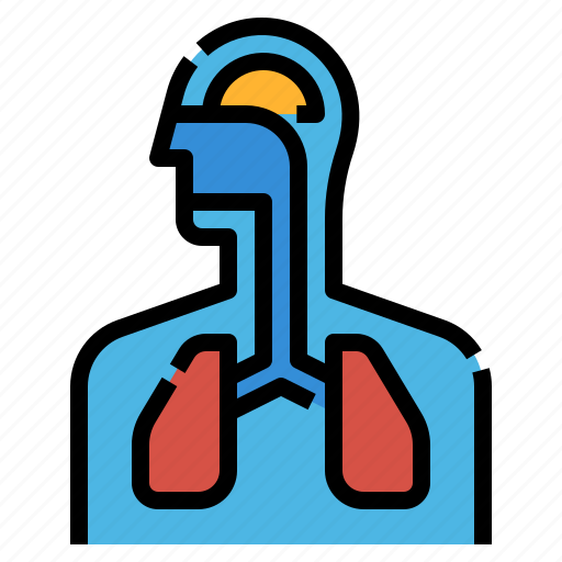 Breathe, breathing, lungs, medical, organs, respiratory, system icon - Download on Iconfinder