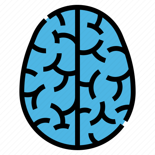 Brain, education, healthcare, human, medical icon - Download on Iconfinder
