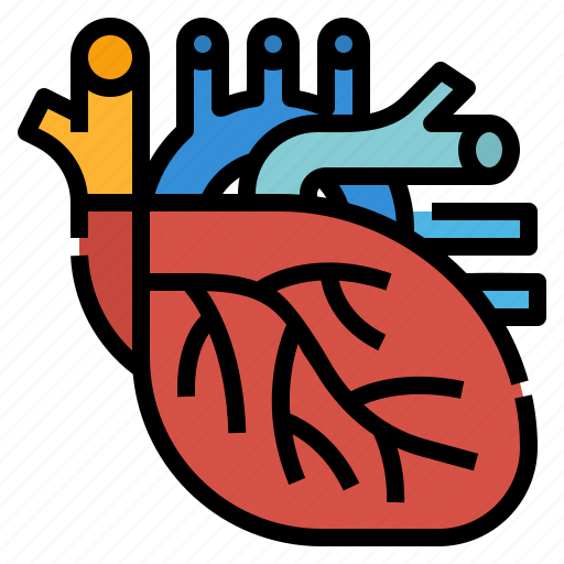 Healthcare, heart, human, medical, organ icon - Download on Iconfinder